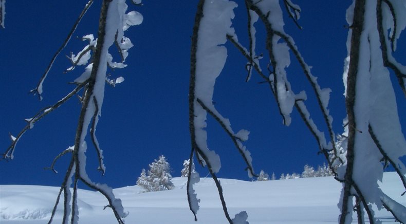 Fotos Winter