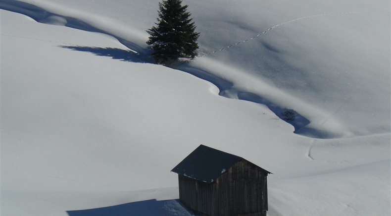 Fotos Winter